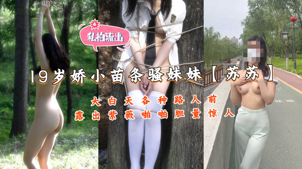 www在线观看高清中文字幕,久久精品中文字幕无码