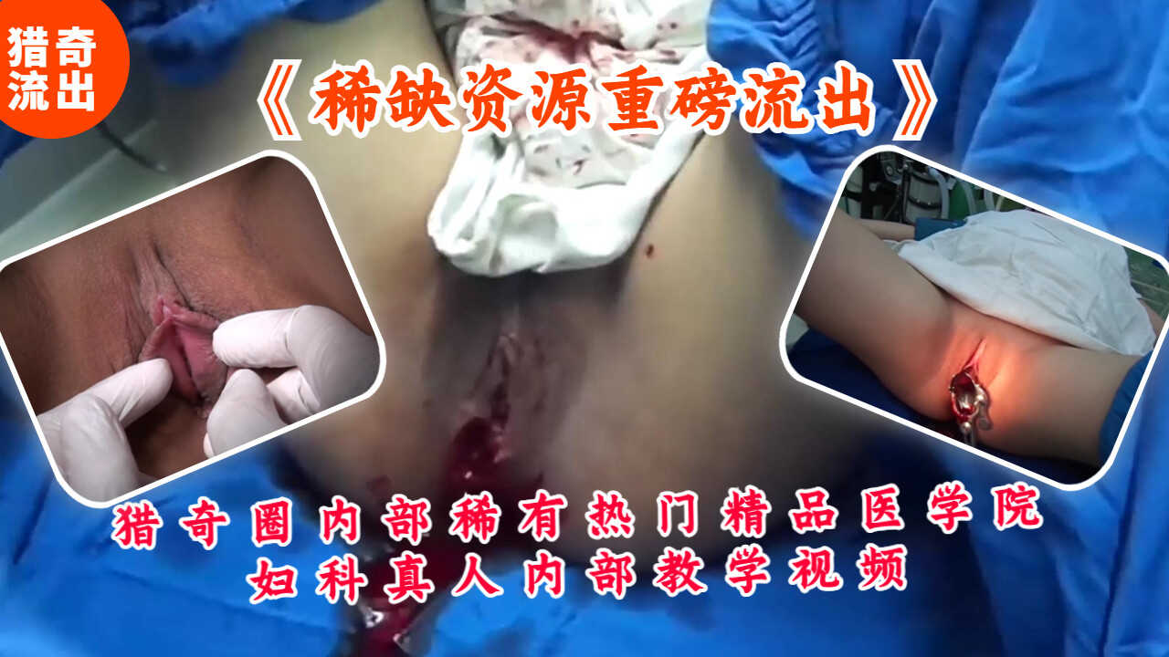 色A不卡一区,精品视频在线一区二区三区