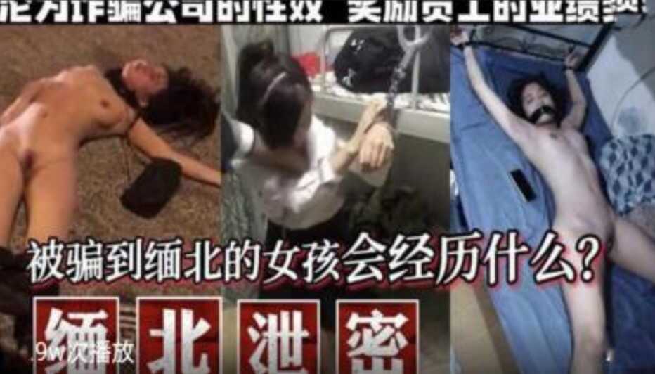 无码片 在线播放,激情网站一区二区